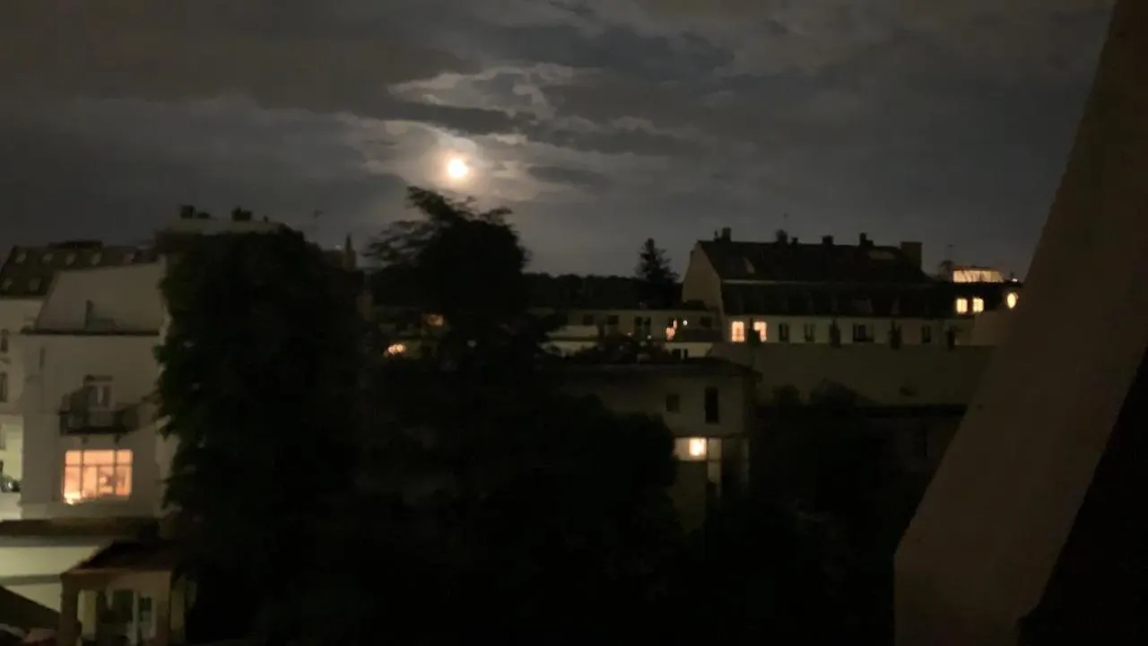 Apartment Sissi 2Rooms 66M2 Gardenview Silent Beautiful Perfect Vienna